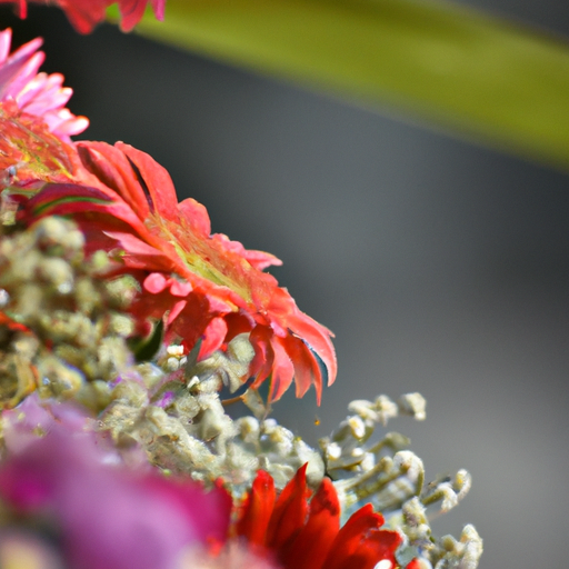 1. תצוגה תוססת של פרחים אקזוטיים באחת מחנויות הפרחים של באר שבע.